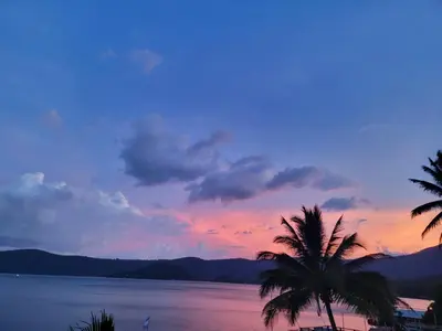 a palm tree on the beach with a sunset at Restaurante y Hostal Romayor in Hacienda Santa Rosa