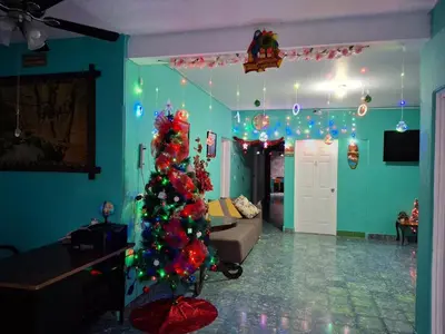 a living room with a christmas tree in a room at Hostal primaveras nest in Santa Ana