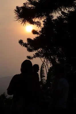 a group of people standing under a tree at sunset at Finca Life - Surf City Highlands - Comasagua in Los Amates