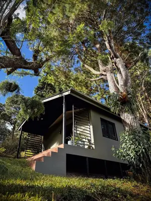 a house with a tree in front of it at Cajamarca Villas by Collection in Las Delicias