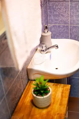 a bathroom with a sink and a potted plant on a wooden table at Coral Beach in Tamanique