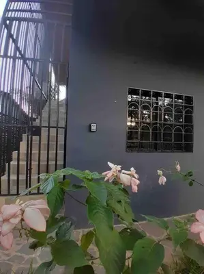 a plant with pink flowers in front of a building at Apartment Casa Melodia in Chirilagua