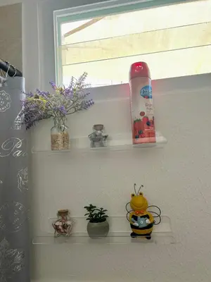 a shelf with a bottle of detergent and plants in a window at La Casita del Viajero in Santa Ana