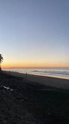a beach with a palm tree and the ocean at El Rinconcito in La Libertad