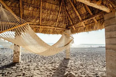 a hammock hanging from a straw hut on a beach at Cabo in Las Hojas