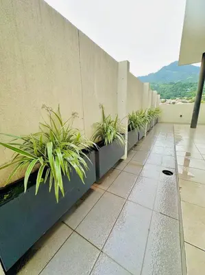 a row of potted plants on the side of a building at Tower View 360º in San Salvador