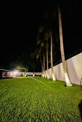 a row of palm trees in a field at night at Rancho El Ancla Surf City Wi-Fi AC Pool in La Libertad