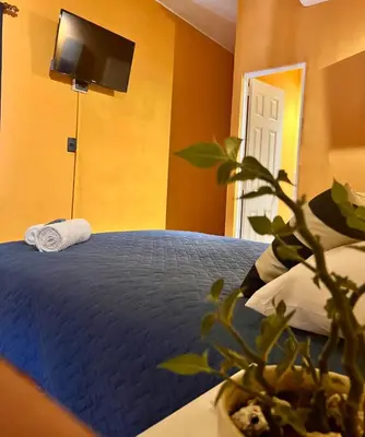 a bedroom with a blue bed with a potted plant at La Casita in Santa Ana