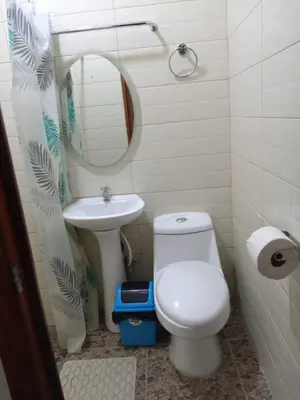 a bathroom with a white toilet and a sink at Ibania Hostal in Tamanique