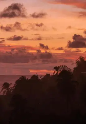 a sunset with palm trees in front of the ocean at Wave House in El Zonte