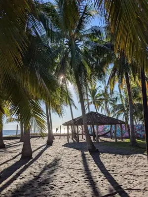 a group of palm trees on a sandy beach at Sihua Escape in Teotepeque