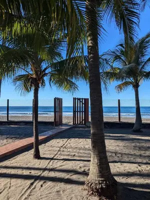 two palm trees on a sandy beach with the ocean at Sihua Escape in Teotepeque