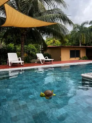 a swimming pool with a turtle in the water at Sihua Escape in Teotepeque