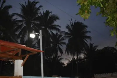 a street light in front of palm trees at night at Rancho Plèyades in Metalío