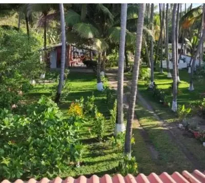 a view of a park with palm trees and a house at Casa De Playa Atlantis in San Luis
