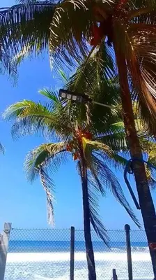 two palm trees on a beach with the ocean at Casa De Playa Atlantis in San Luis