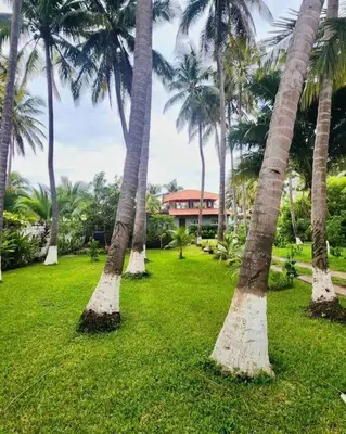 a group of palm trees in front of a house at Casa De Playa Atlantis in San Luis