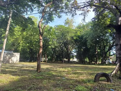 a park with a tree in the middle of a field at Casa las Flores in San Miguel