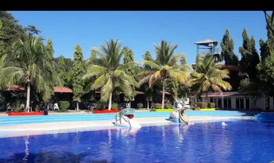 a group of dolphins in the water at a resort at Casa las Flores in San Miguel