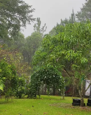 an arch in a park with a tree at Casa Campo Loma Larga in La Palma