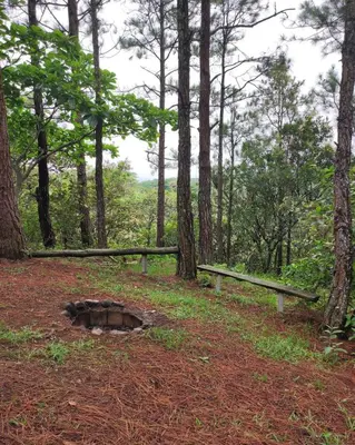 a man hole in the middle of a forest at Casa Campo Loma Larga in La Palma