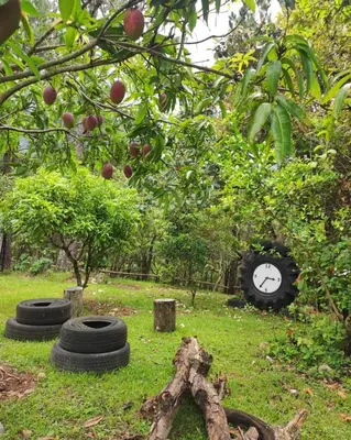 a group of tires and a clock in the grass at Casa Campo Loma Larga in La Palma