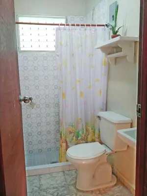 a bathroom with a toilet and a shower curtain at Queen Bed in San Salvador