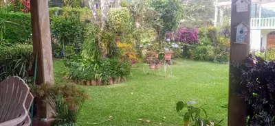 a garden view from a window with plants and flowers at Cabaña Mi Bello Jardín, Privado, Zona Urbana in Apaneca