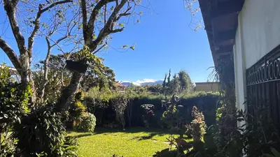 a yard with a tree and some plants at Cabaña Mi Bello Jardín, Privado, Zona Urbana in Apaneca