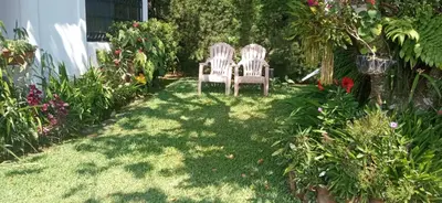 two chairs sitting in the grass in a garden at Cabaña Mi Bello Jardín, Privado, Zona Urbana in Apaneca