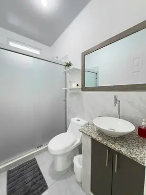 a bathroom with a toilet and a sink and a mirror at Modern Retreat in San Miguel