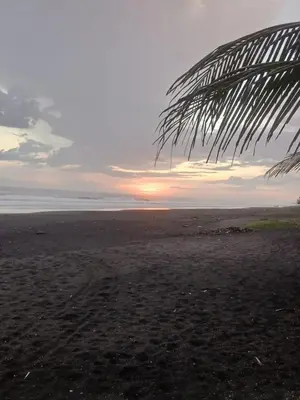 a sunset on a beach with a palm tree at Rancho Joya Del Mar in Sonsonate