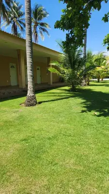 a house with two palm trees in a yard at Rancho Joya Del Mar in Sonsonate