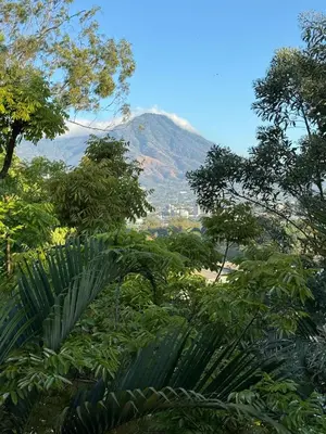 a view of a mountain from a forest of trees at La Bella Suite in San Salvador