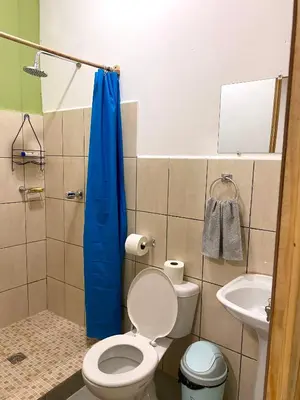 a bathroom with a toilet and a blue shower curtain at Hostal El Amate #3 in Suchitoto