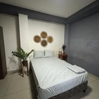 Macaw Stay Room