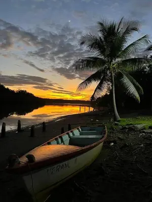 a boat sitting on the beach with a palm tree at Estero View Beach House in Barra de Santiago
