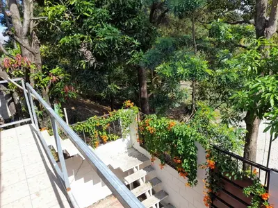 a stairway with flowers and a railing at Copinol 68 in San Salvador