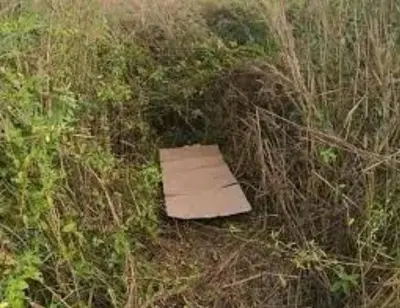 a box laying in the grass in a field at Grama in Cinquera