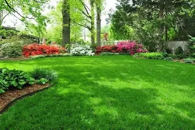 a yard with lush green grass and flowers at Grama in Cinquera