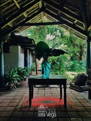 a vase on a table with a plant in it at Casona los Vega in Izalco