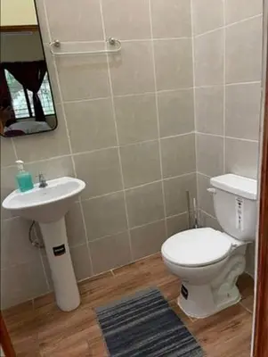 a bathroom with a toilet and a sink at DONDE ANTONIO BARRA DE SANTIAGO in Barra de Santiago