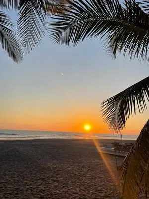 a sunset on a beach with a palm tree at DONDE ANTONIO BARRA DE SANTIAGO in Barra de Santiago