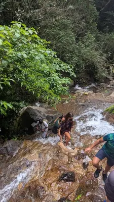 a group of people crossing a stream in a river at Bambu Hostel in Juayúa
