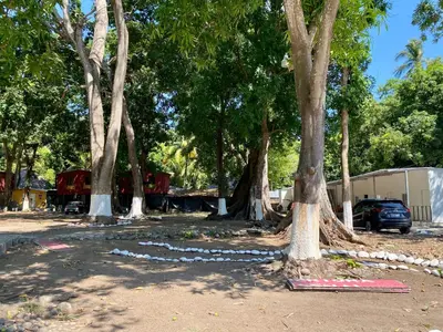 a group of trees with a truck parked under them at Eco Villa, El Sunzal ISA Surfing in El Sunzal