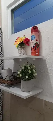 a shelf with a bottle of detergent and a plant at Casa de Reyes in San Miguel