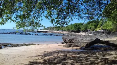 a sandy beach with a tree and the water at Casa de Playa en residencial las Veraneras San Fer in Los Cóbanos