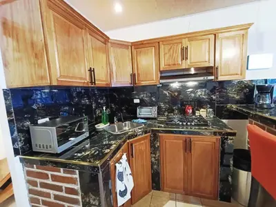a kitchen with wooden cabinets and a sink and a microwave at Dinos House in Concepción de Ataco