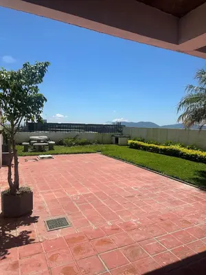 a patio with a tree in the middle of it at Complete, Centrally-located apartment with panoramic view in San Salvador