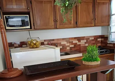 a kitchen counter with a microwave and a bowl of fruit at \u30c4 Izalco Volcano Suites in Izalco